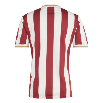 1. FC Nuremberg Soccer Jersey 2025/26-125th Anniversary