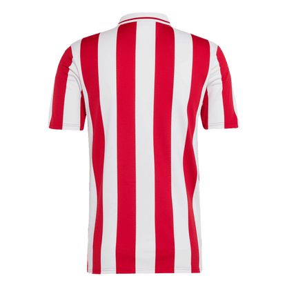 Olympiacos Soccer Jersey 2024/25 - 100th Anniversary
